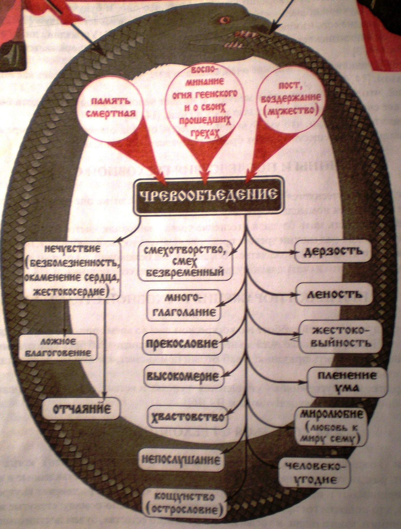 Грехи схема страсти